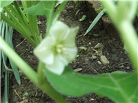 ba73d6d9-Picture 016.jpg